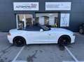 BMW Z4 M roadster 25i S-Drive Sport Design BVA Alpinweiss 3 Blanc - thumbnail 6