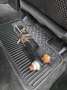 GMC Canyon Pick up Grau - thumbnail 23