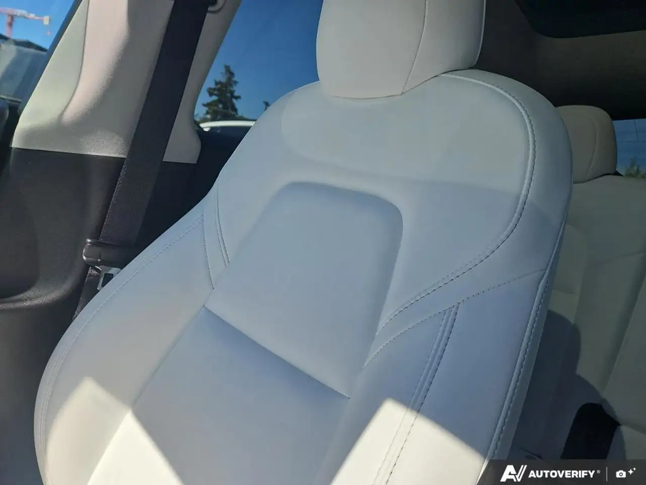 Tesla Model Y снимка Tesla Model Y