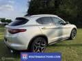 Alfa Romeo Stelvio SUV | Route 66 Auctions Grijs - thumbnail 4