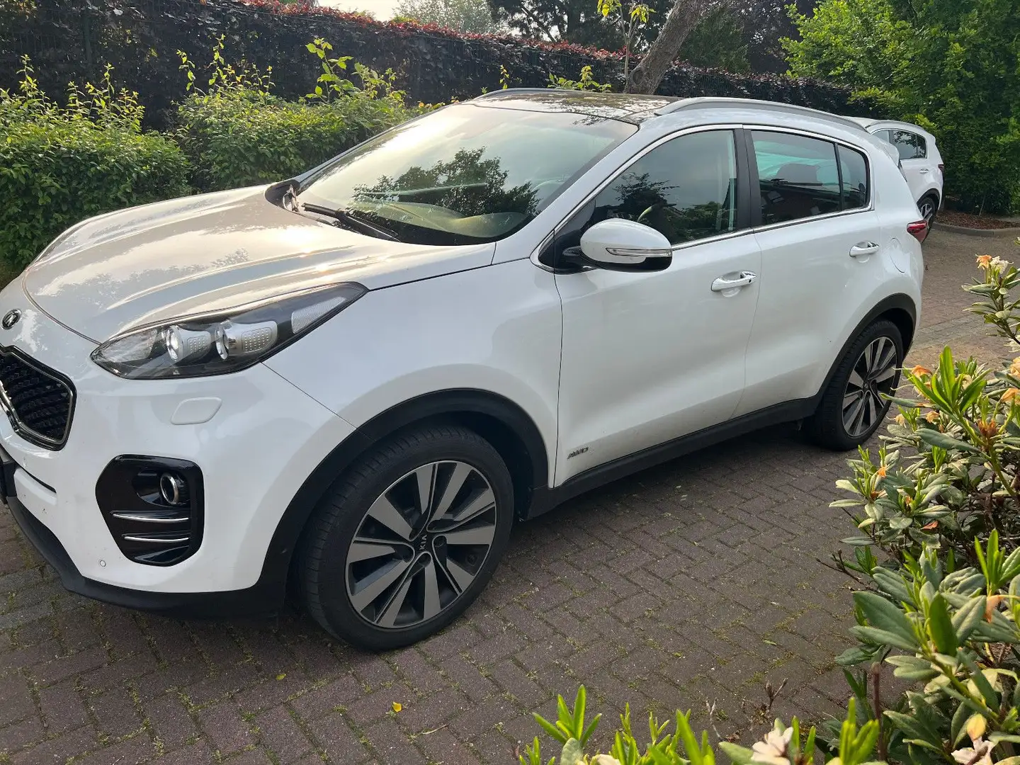 Kia Sportage Platinum Edition 4WD Weiß - 2