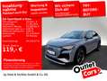 Audi Q4 e-tron 40 S-Line HuD NAV MATRIX KAM Grau - thumbnail 1