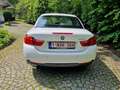 BMW 420 420i Cabrio Aut. M Sport Blanc - thumbnail 15