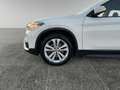 BMW X1 xDrive 1.8d 150cv Business Design Euro6d-T - thumbnail 20