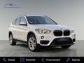 BMW X1 xDrive 1.8d 150cv Business Design Euro6d-T - thumbnail 2