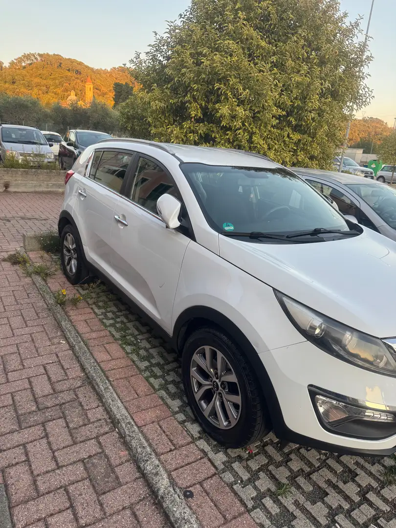 Kia Sportage Sportage III 2010 1.6 gdi Plus 2wd Bianco - 2