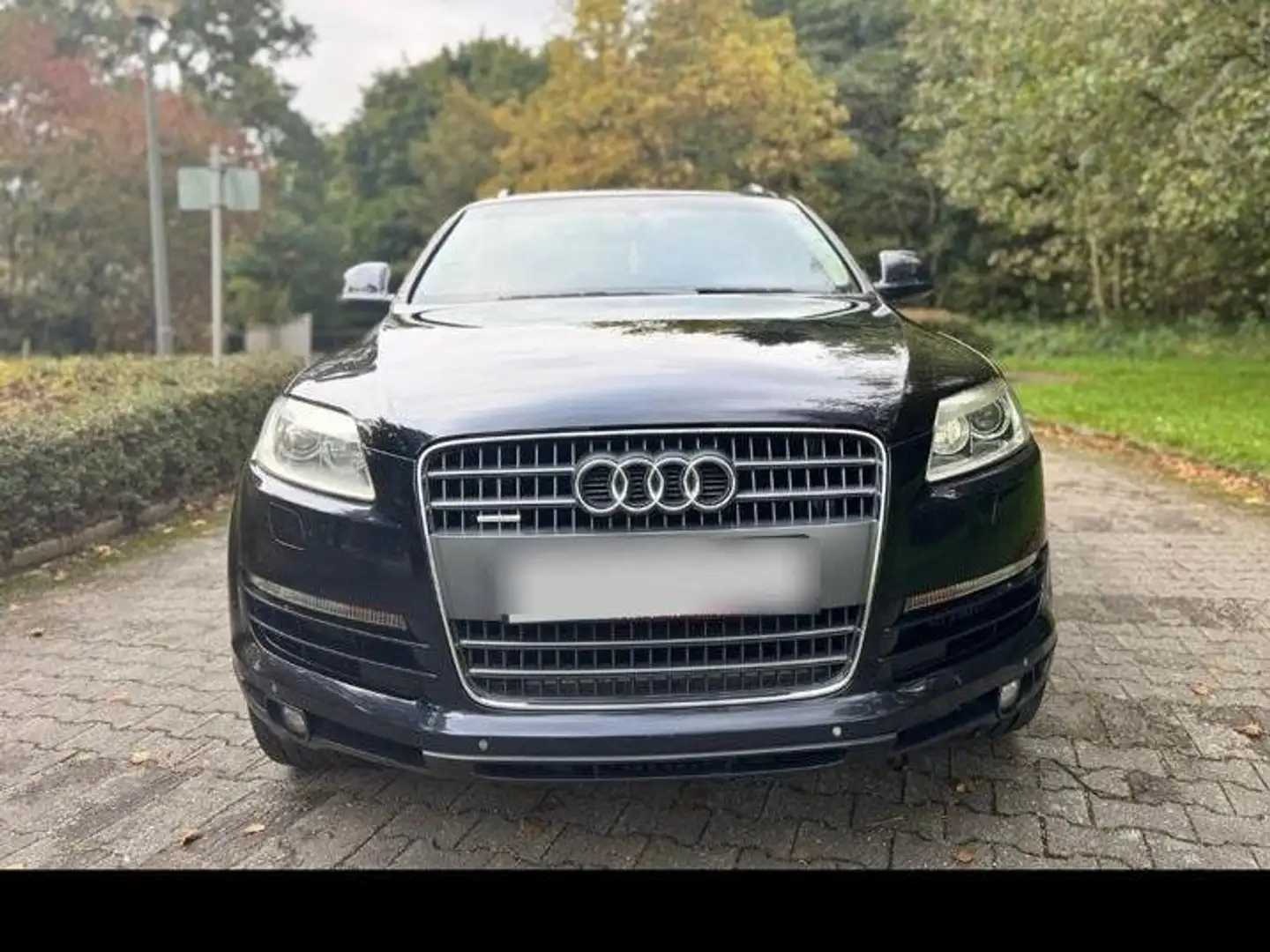 Audi Q7 Q7 Diesel 3.0 TDI DPF quattro tiptronic Bleu - 1