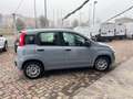 Fiat Panda 1.0 FireFly S&S Hybrid Grigio - thumbnail 4