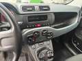 Fiat Panda 1.0 FireFly S&S Hybrid Grigio - thumbnail 13