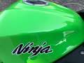Kawasaki Ninja 300 ABS zelena - thumbnail 8