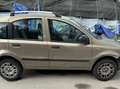 Fiat Panda Panda 1.4 natural power Active Marrone - thumbnail 2