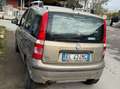 Fiat Panda Panda 1.4 natural power Active Marrone - thumbnail 5
