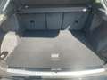 Audi Q3 35 TFSI S-TR ADVANCED NAVI+2xPDC+SHZ+AHK+19" Noir - thumbnail 14