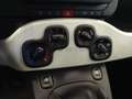 Fiat Panda Pandina 1.0 firefly hybrid s&s 70cv Grün - thumbnail 9