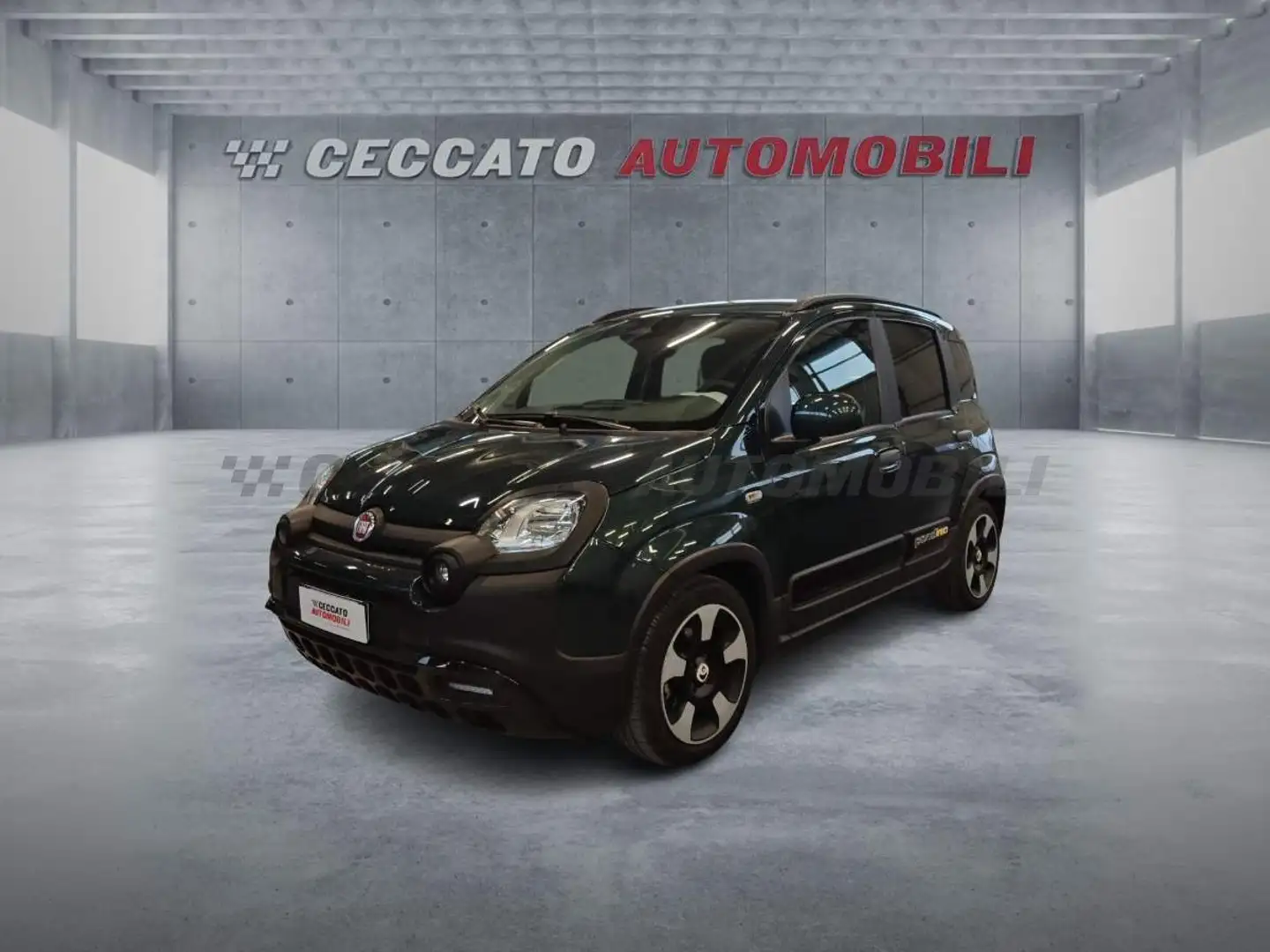 Fiat Panda Pandina 1.0 firefly hybrid s&s 70cv Grün - 1