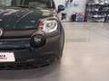 Fiat Panda Pandina 1.0 firefly hybrid s&s 70cv Grün - thumbnail 16