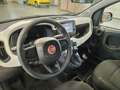 Fiat Panda Pandina 1.0 firefly hybrid s&s 70cv Grün - thumbnail 18