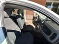 Fiat Panda Panda 1.0 firefly hybrid *Promo SD 2025 Weiß - thumbnail 14