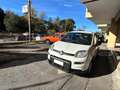 Fiat Panda Panda 1.0 firefly hybrid *Promo SD 2025 Weiß - thumbnail 3