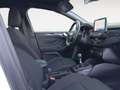 Ford Focus 1.0 Ecoboost ST Line 125 Blanco - thumbnail 12