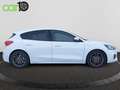 Ford Focus 1.0 Ecoboost ST Line 125 Blanco - thumbnail 21