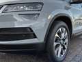 Skoda Karoq Clever 4x4 Klima Rückfahrkamera Kurvenlicht Grijs - thumbnail 6