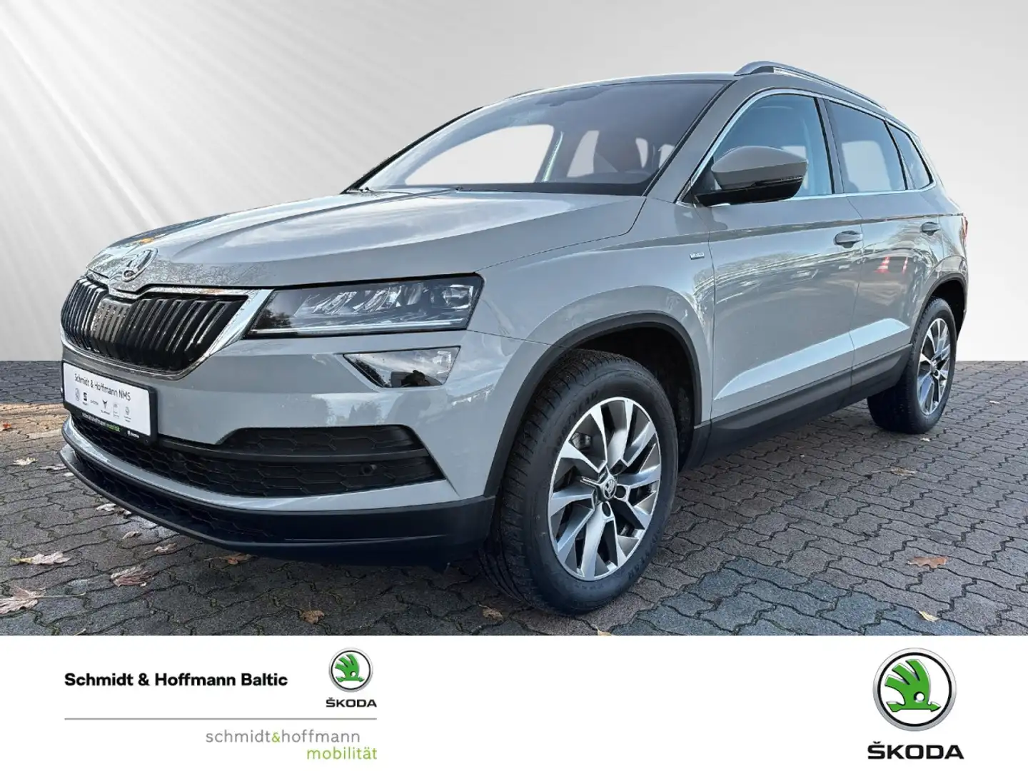 Skoda Karoq Clever 4x4 Klima Rückfahrkamera Kurvenlicht Grijs - 1
