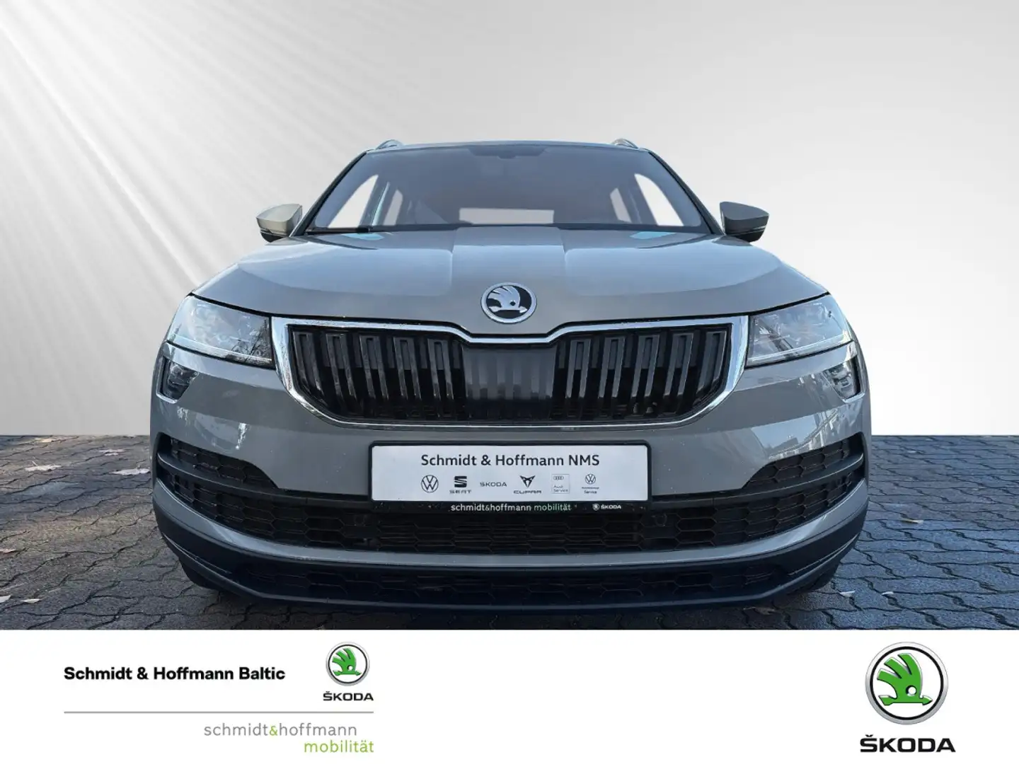 Skoda Karoq Clever 4x4 Klima Rückfahrkamera Kurvenlicht Grijs - 2