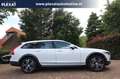 Volvo V90 Cross Country 2.0 D4 Pro Aut. | Historie | Adaptief | Full Led | Белый - thumbnail 10