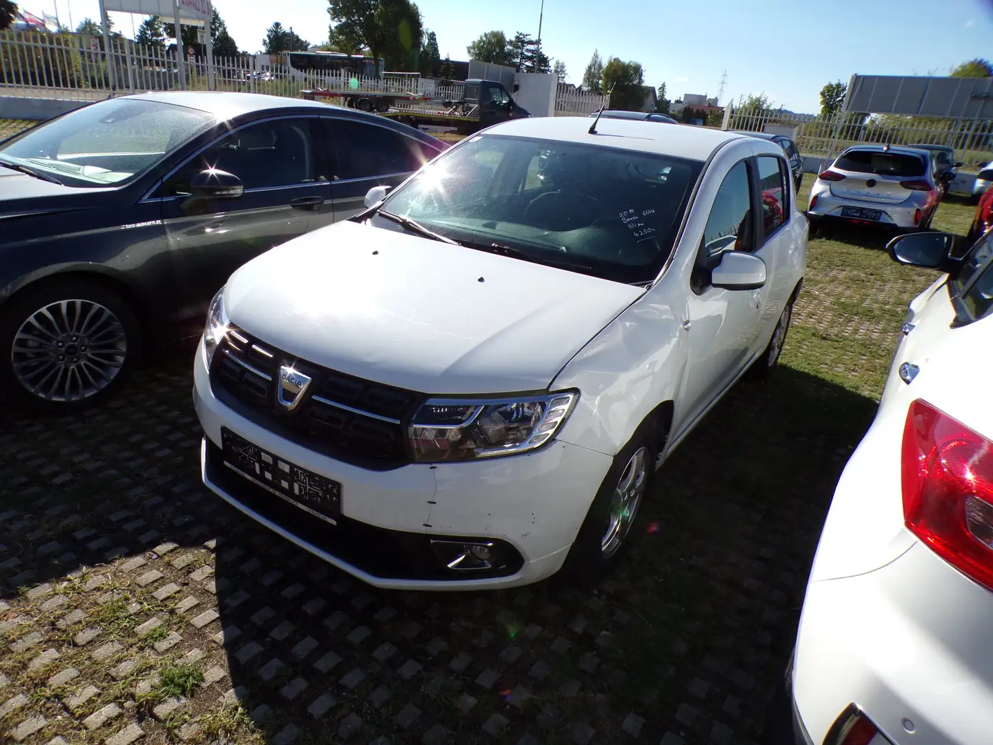 Dacia Sandero Comfort Weiß - 2