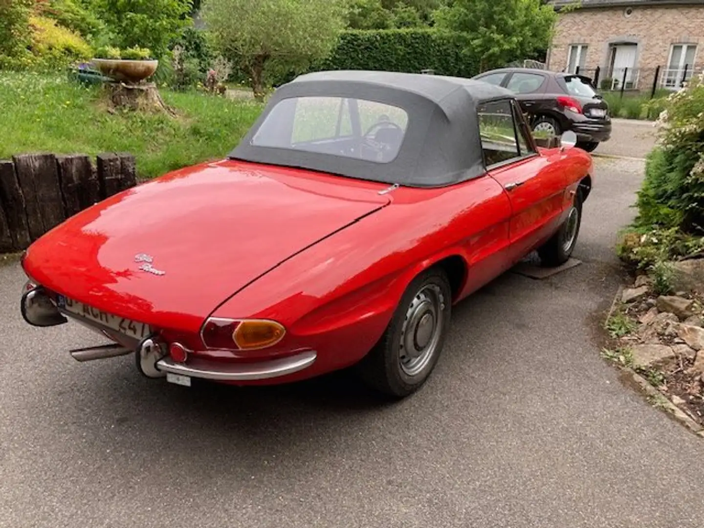 Alfa Romeo Spider Duetto Rouge - 2