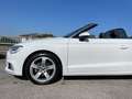Audi A3 A3 Cabrio 2.0 TDI Sport 150cv S-Tronic Bianco - thumbnail 7
