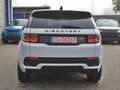 Land Rover Discovery Sport Discovery Sport D180 R-Dynamic HSE Weiß - thumbnail 6