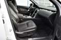 Land Rover Discovery Sport Discovery Sport D180 R-Dynamic HSE Weiß - thumbnail 19