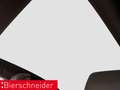 Audi RS e-tron GT 21 LASER HuD 360 Grau - thumbnail 18