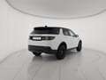 Land Rover Discovery Sport Discovery Sport 2.0D I4 150 CV AWD Auto SE Weiß - thumbnail 5