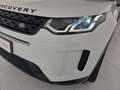 Land Rover Discovery Sport Discovery Sport 2.0D I4 150 CV AWD Auto SE Weiß - thumbnail 35