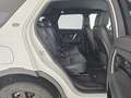 Land Rover Discovery Sport Discovery Sport 2.0D I4 150 CV AWD Auto SE Weiß - thumbnail 27