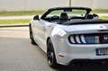 Ford Mustang Convertible 5.0 V8 GT | MwSt. ausweisbar Weiß - thumbnail 6