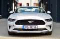 Ford Mustang Convertible 5.0 V8 GT | MwSt. ausweisbar Weiß - thumbnail 5