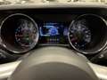 Ford Mustang USA Fastback 2.3 EcoBoost 317PK Automaat Special V Gris - thumbnail 26
