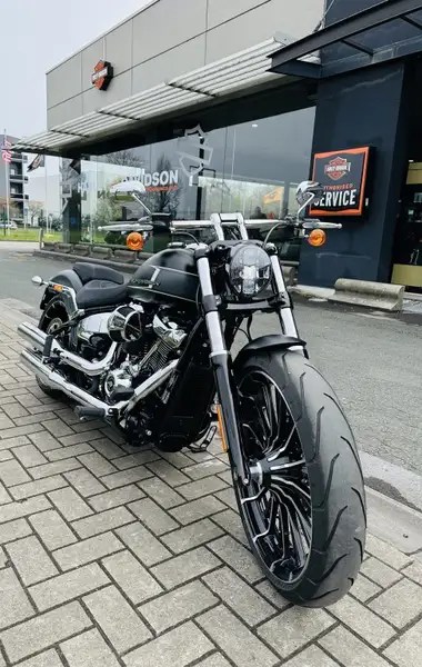 Harley-Davidson Softail - foto 3