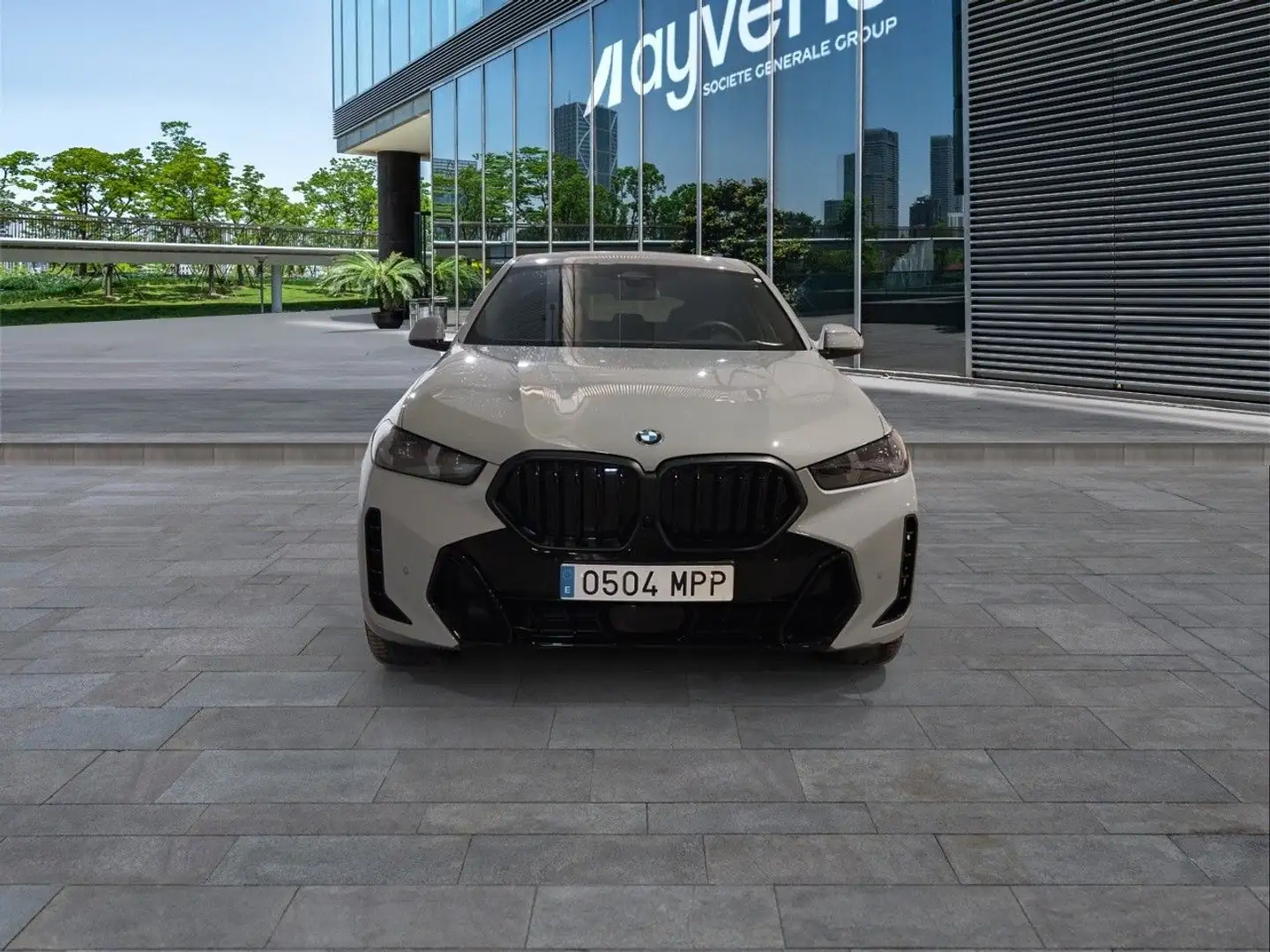 BMW X6 xDrive 40dA M Sport Gris - 2