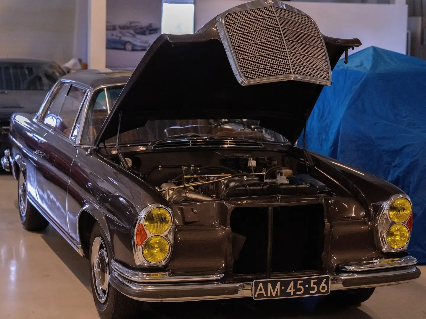 Mercedes-Benz 250 SE Maro - 2
