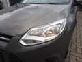 Ford Focus Turnier 1.0 EcoBoost Trend Klimaautom. Brown - thumbnail 11