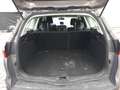Ford Focus Turnier 1.0 EcoBoost Trend Klimaautom. Brown - thumbnail 12