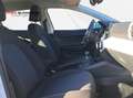 SEAT Ibiza Style 1.0 TSI Klima SHZ PDC Kamera Weiß - thumbnail 10