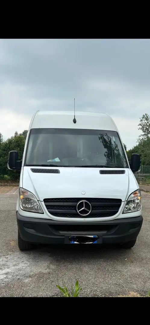 Mercedes-Benz Sprinter Longo 313 Bianco - 1