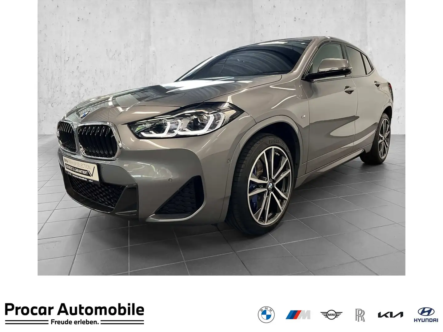 BMW X2 xDrive20i M Sport HUD RFK NAVI LED PDC V+H Grigio - 1