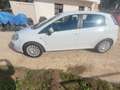 Fiat Punto Evo 5p 1.3 mjt  s&s 95cv Bianco - thumbnail 3